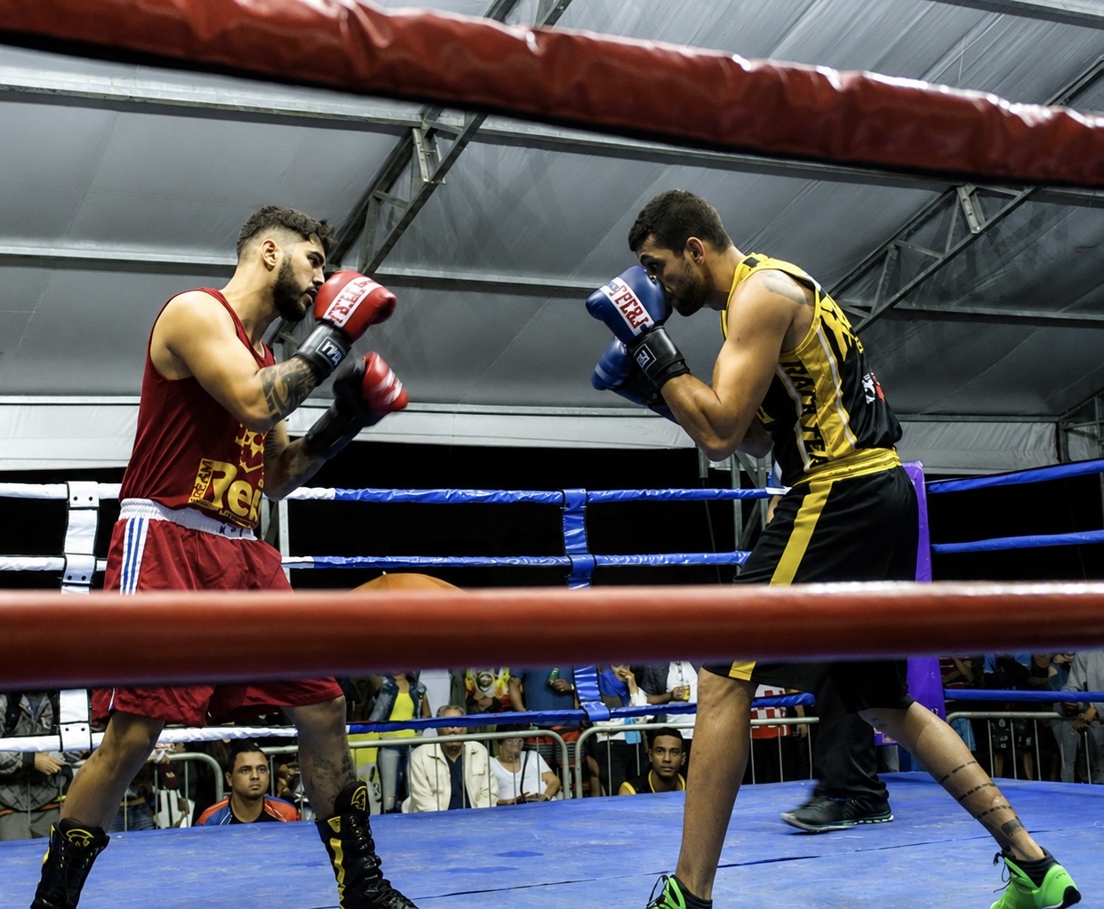 Luta de Boxe no ringue